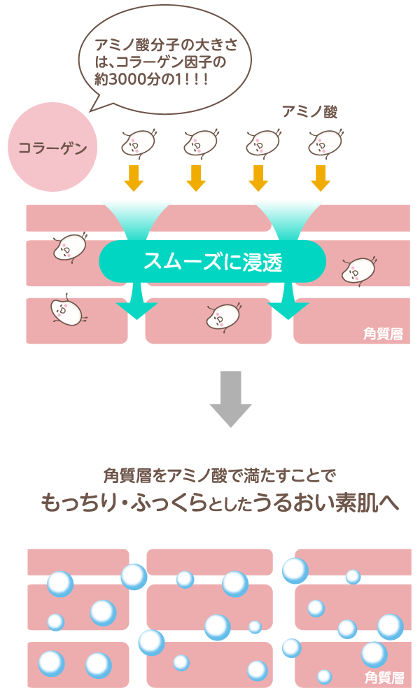 潤い与えるアミノ酸の秘密