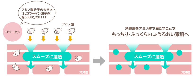 潤い与えるアミノ酸の秘密