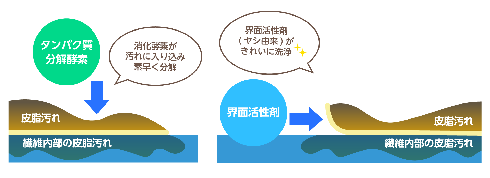 消化酵素がしつこい汚れを瞬時に分解