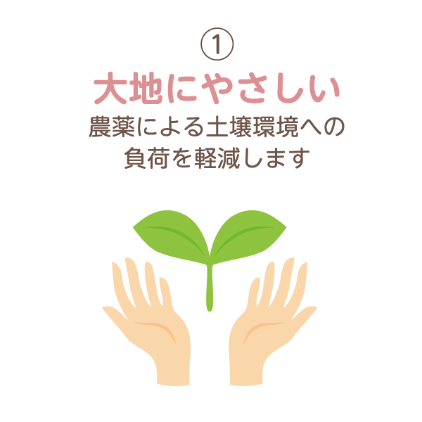 オーガニックコットンであることの意味