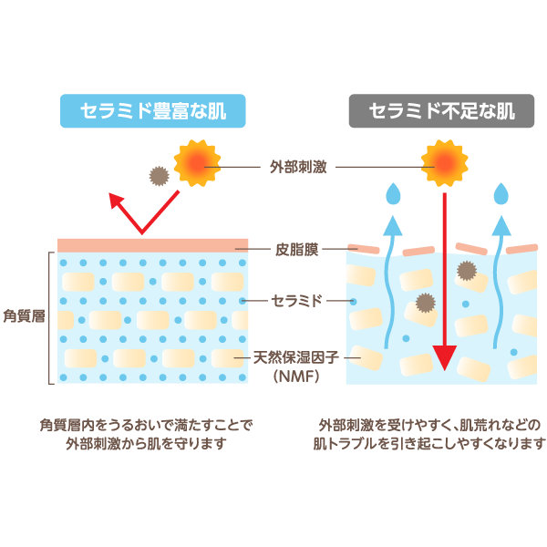 うるいおい成分：馬セラミド配合