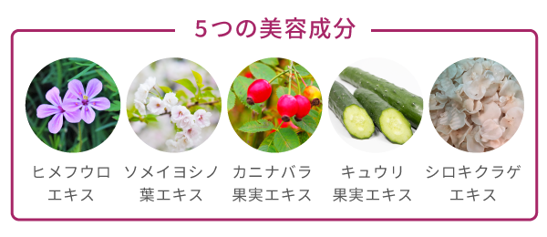 5つの美容成分